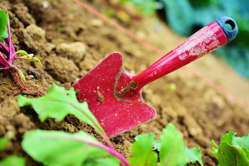 sasu-ST PAUL DE VENCE-min_gardening-2448134